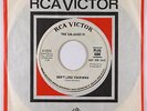 Garage Psych 45 - Galaxies IV - Don't Lose Your Mind - RCA Victor - mp3