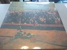 Neil Young - Time Fades Away - LP Vinyl // Neu & OVP