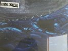 Tedeschi Trucks Band - High & Mighty - Vinyl  RSD 2019 NEW