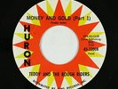 Garage Surf 45 - Teddy & the Rough Riders - Money And Gold - Huron - VG++ mp3