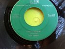 DON TERRY : Knees Shakin' / She Giggles   :  LIN RECORDS   FABULOUS ROCKABILLY