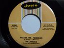 Cadillacs - Please Mr Johnson  MINT   1959