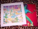 BELLY   STAR. Orig 1993 UK vinyl LP. 4 AD. M/NM.