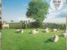 the KLF - chill out - original UK JAMSLP5