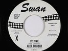 Teen Rocker 45 - Artie Sullivan - It's Time - Swan - VG++ mp3