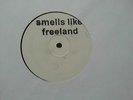 Nirvana vs Adam Freeland SMELLS LIKE FREELAND 12