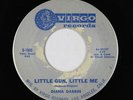 Teen Rocker 45 - Diana Darrin - Little Gun, Little Me - Virgo - mp3