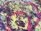 The Sisters Of Mercy Psychedelic Sessions LP