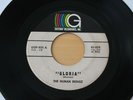 HUMAN BEINGZ (BEINZ) Gloria/The Times Are A Changing 45 Ohio Garage Psych HEAR