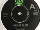 Fickle Pickle California Calling Demo B&C Wil Malone Nice  Copy