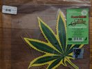 CHEECH AND CHONG Up In Smoke 7