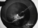 Zombies – The Way I Feel Inside X-RAY USSR ROENTGEN Bones Record Skull