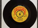 BROTHER RAM GOAT WHAT A CONDITION EX 45 RPM VINYL SKINHEAD REGGAE MUSIC JAMAICAN