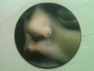 Rammstein - Mutter - Picture Vinyl ( LP ) / TOP - ZUSTAND    ( Ein Mussss )