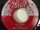 RARE The Flamingos 1955 I'm Yours/Ko Ko Mo 45 Parrot 812 Doo-Wop (Bronzville) VG