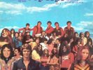 Various Pop Tops Vol. 2 LP Comp Vinyl Schallplatte 75795