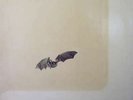 ZeitGeist ZeitGeist LP Album Vinyl Schallplatte 76150