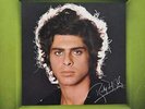 Ricky Shayne - Die Großen Erfolge (LP, Comp) Vinyl Schallplatte 117176