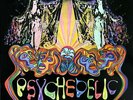 Various - Psychedelic / Underground LP Comp Club Vinyl Schallplat