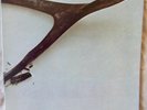 WISHBONE ASH DEBUT 1ST LP UK 1973 MCA RARE BLACK LABEL MKPS 2014 NEAR MINT