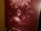 Weakling - Dead As Dreams - Double LP - Limited Edition - 2000 - RARE- Xasthur