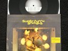 Super Furry Animals - It's Not The End Of The World 3 Track 12'' Vinyl Single Ex
