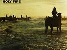 FOALS-HOLY FIRE VINYL NEW