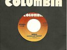 Vintage 1979  Paul Mc Cartney + Wings Columbia 45 rpm Record Goodnight Tonight