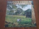 DAYLIGHT - same  vinile  I° STAMPA IT SU RCA