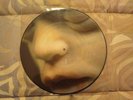 RAMMSTEIN MUTTER LP  PICTURE DISC 1ST PRESS METAL RARE MOTOR MUSIC INDUSTRIAL