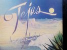 ZZ TOP Tejas 1976 UK  vinyl LP vintage