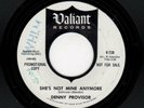 GARAGE-DENNY PROVISOR-SHE'S NOT MINE ANYMORE/IT REALLY TEARS ME UP-VALIANT 728