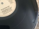 Arabian Prince 12”