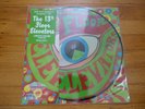 The 13th Floor Elevators-The Psychedelic Sounds of.. RSD 2019 mono LP-NEW