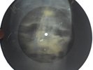 DOORS - BREAK ON THROUGH - UNIQUE USSR GEORGIAN X-RAY ROENTGEN SKULL RECORD