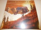 WEEZER - Everything will be allright in the End ***Vinyl-LP***NEW***