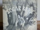 SUGAR BEAR LP 1970s Florida Private Rural Psych Rock SIGNED RARE