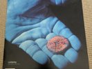 Coldplay - The Blue Room EP Vinyl 12 inch 1999.  Chris Martin. Very Rare