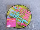 GERARD WAY (My Chemical Romance) Picture Disc Zero Zero/Television Vinyl LP