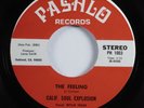 Funk 45 CALIF. SOUL EXPLOSION The Feeling PASHLO NM HEAR