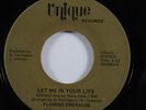 Sweet Soul 45 FLAMING EMERALDS Let Me In Your Life UNIQUE VG++ HEAR