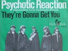 Count Five:Psychotic Reaction      Deutsche Hansa