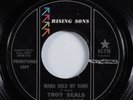 Deep Soul/Funk 45 TROY SEALS Mama Hold My Hand RISING SONS promo HEAR