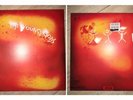 Vinyle 33T  THE YOUNG GODS  « L’eau rouge »