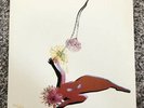 Future Islands - The Far Field Vinyl LP (Limited Edition White)
