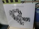 The Whitest Boy Alive - Rules - LP Vinyl /// Neu & OVP /// Erlend Øye