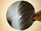 X Ray USSR Vinyl Record Music on Bones Roentgen Rolling Stones Paint It Black
