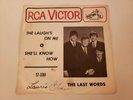 The Last Words - Canadian Garage 45  - The Laugh's on me / She'll Know How RCA