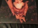 2015 The Goo Goo Dolls A Boy Named Goo Vinyl LP Album Dutch ????????Pressing