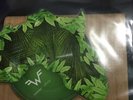 Weezer ?– Africa Limited Edition Shaped Picture Disc Record Store Day 2018